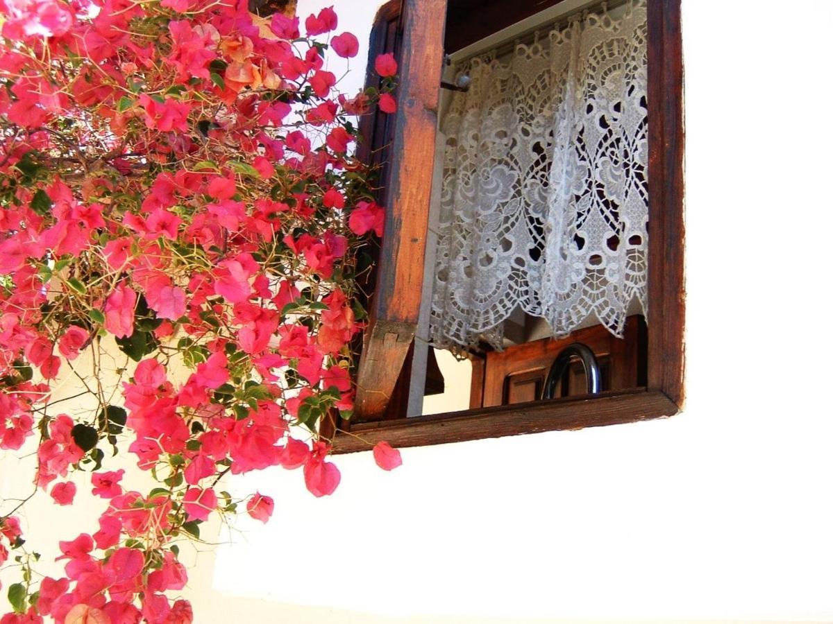 Yiayia'S Home Chalki Town Ngoại thất bức ảnh